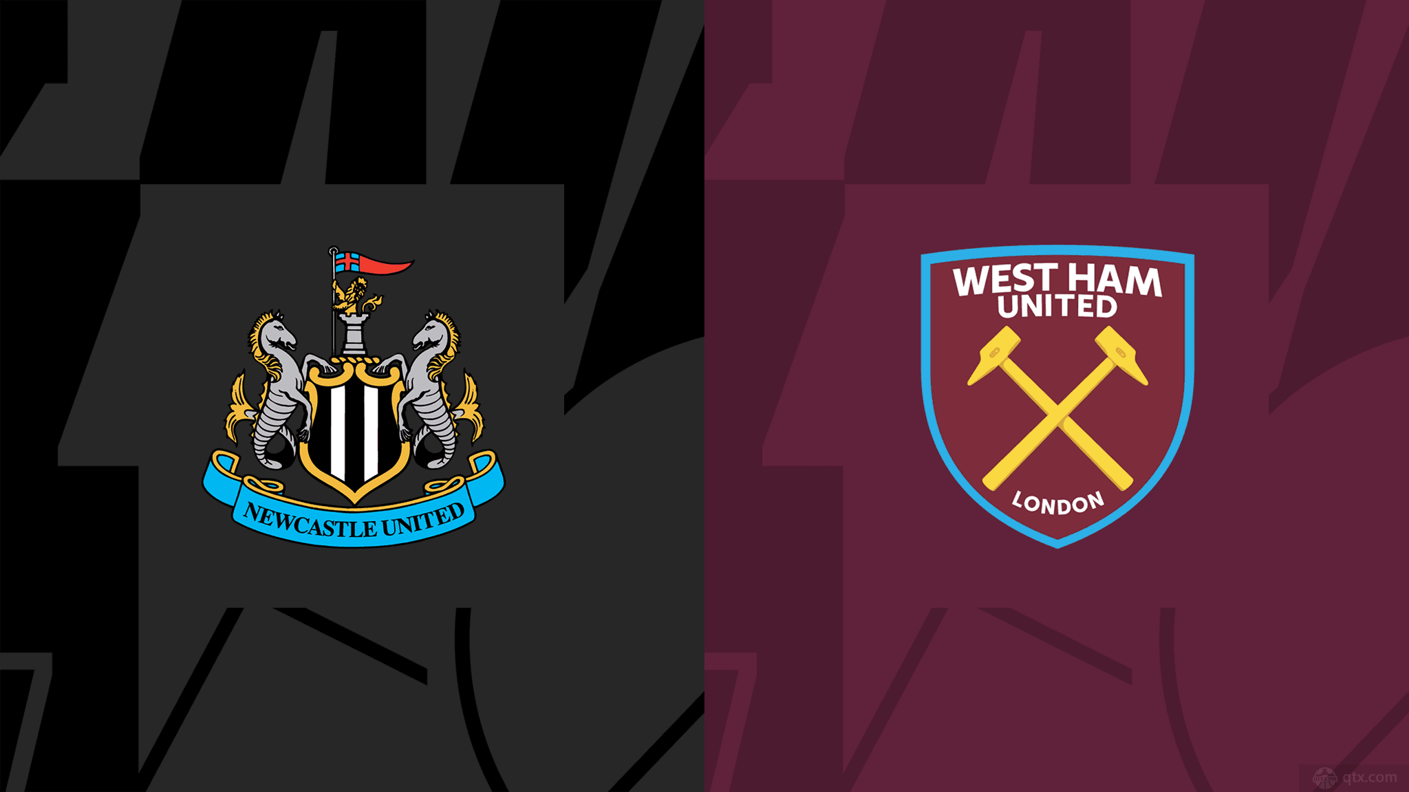 乎也看到了 乎也看到了