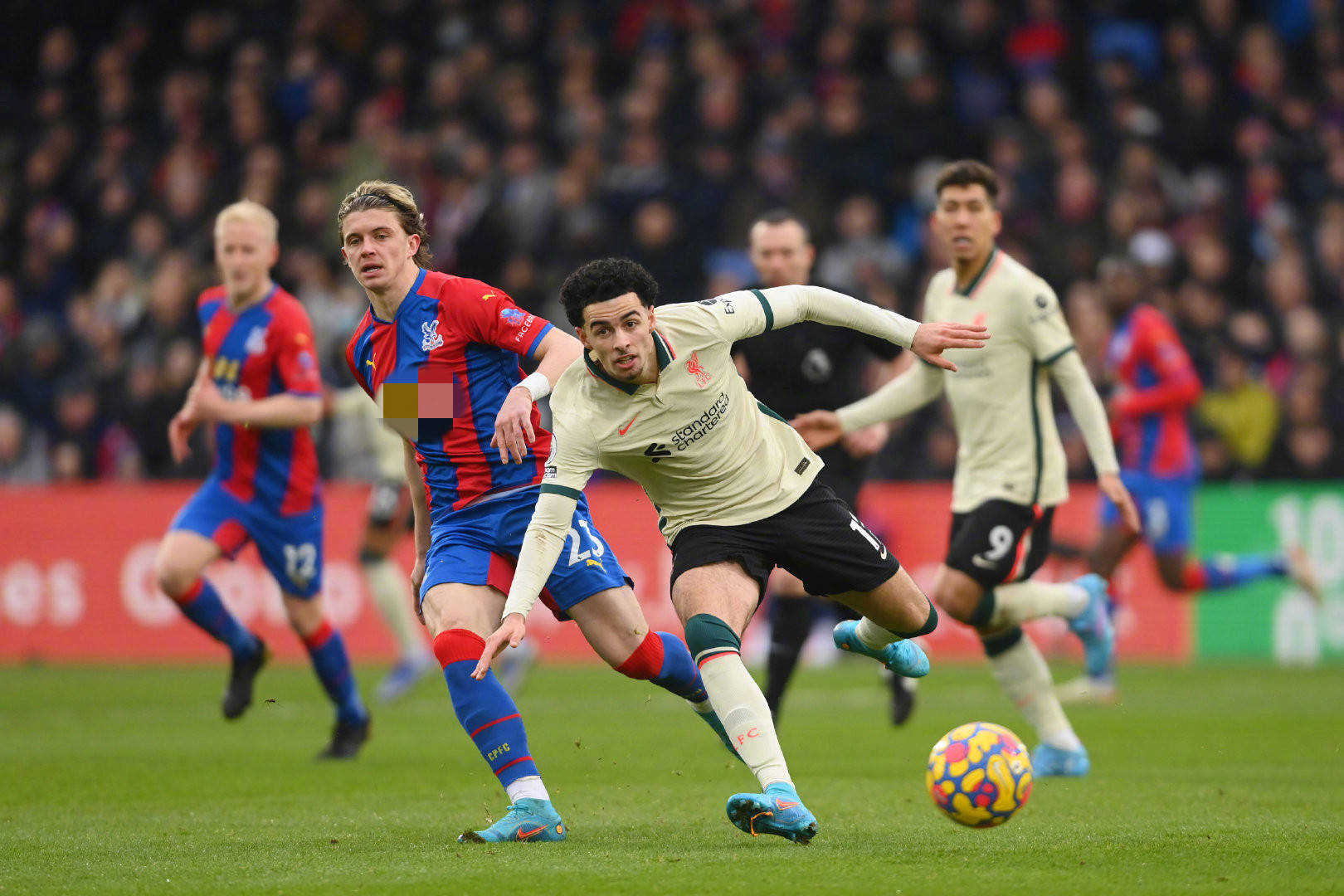 以未来为价 以未来为价